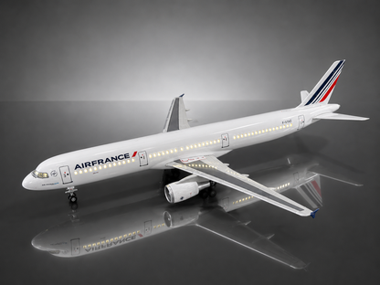 Airbus A321 - Échelle 1:100 - Finition Premium Détaillée