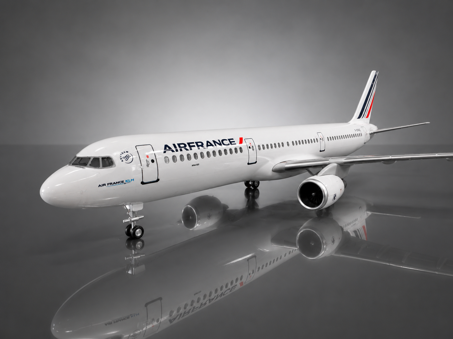 Airbus A321 - Échelle 1:100 - Finition Premium Détaillée